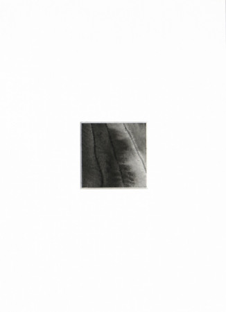 ink & water on paper - 4 x 4 cm - 2020