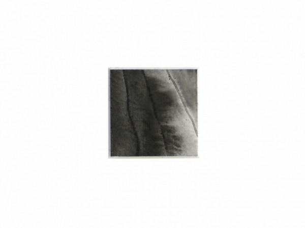 ink & water on paper - 4 x 4 cm - 2020