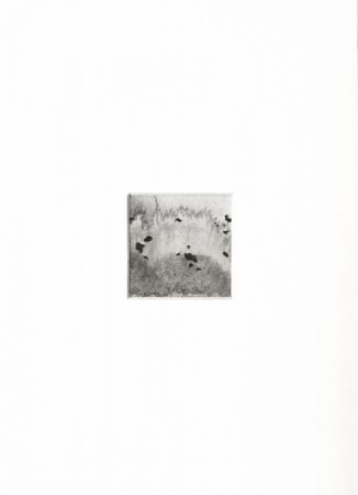ink & water on paper - 4 x 4 cm - 2020