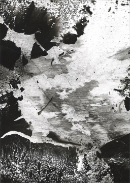 Ce-quil-y-a-de-plus-profond-.-la-peau-vc-5cc