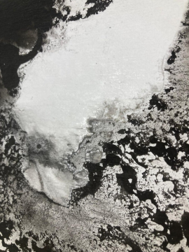 a8f09105-b289-49f8-8b0b-cbd12dff5625