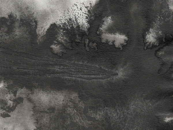 1_Graphein-v_8p