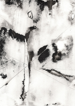 Graphein-vc-2p