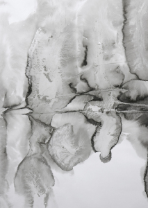 1_19_graphein_vd-19p