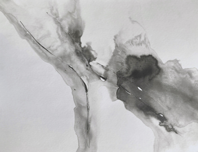 1_Emilie-Cognard-__-Graphein-vd_16c-__-Tusche-Wasser-auf-Karton-__-50-x-65-cm-__-2022