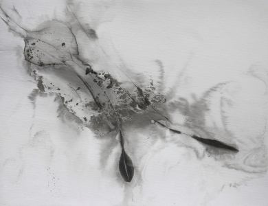 1_Emilie-Cognard-__-Graphein-vd_17c-__-Tusche-Wasser-auf-Karton-__-50-x-65-cm-__-2022