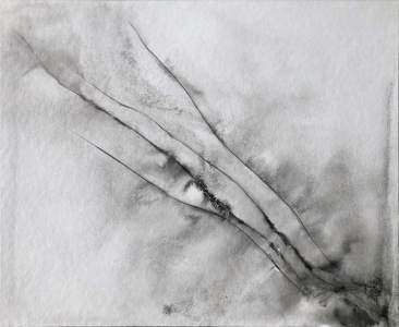 1_graphein_vd_20c_