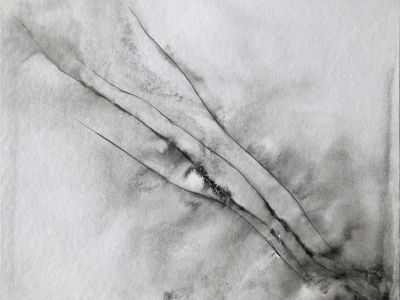 1_graphein_vd_20c_