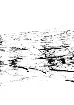 La-necessite-des-mots_22