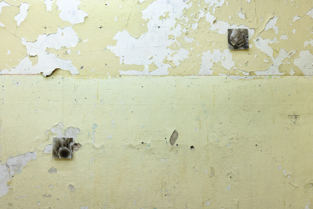 EMILIE COGNARD INTERIEUR