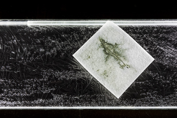 EMILIE COGNARD INTERIEUR