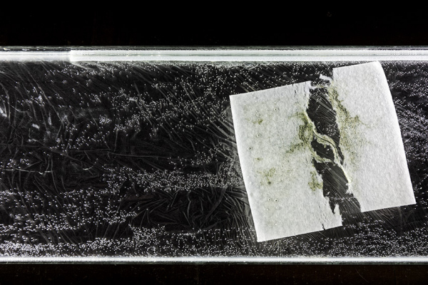 EMILIE COGNARD INTERIEUR