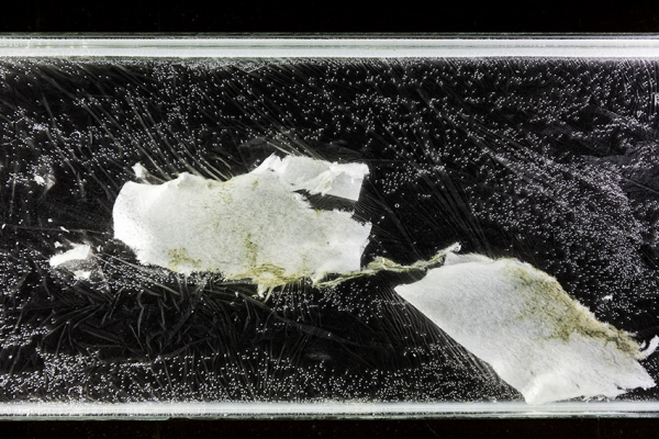 EMILIE COGNARD INTERIEUR