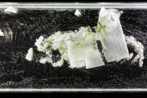 EMILIE COGNARD INTERIEUR