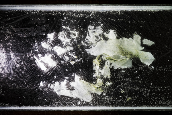 EMILIE COGNARD INTERIEUR