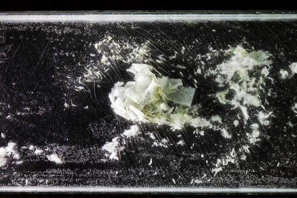 EMILIE COGNARD INTERIEUR