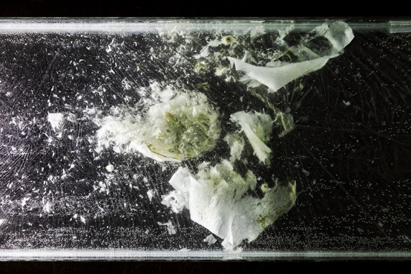 EMILIE COGNARD INTERIEUR