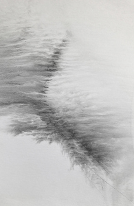 1_Emilie-Cognard-__-impression-papier-peau-vd_9cc-__-Tusche-auf-Karton-__-50-x-325-cm-__-2022