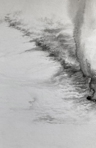 Emilie-Cognard-__-impression-papier-peau-vd_11cc-__-Tusche-auf-Karton-__-50-x-325-cm-__-2022