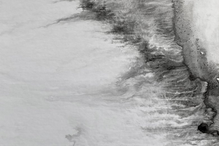 Emilie-Cognard-__-impression-papier-peau-vd_11cc-__-Tusche-auf-Karton-__-50-x-325-cm-__-2022