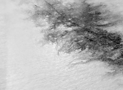 impression papier-peau_detail
