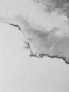 impression papier-peau_detail