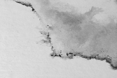 impression papier-peau_detail