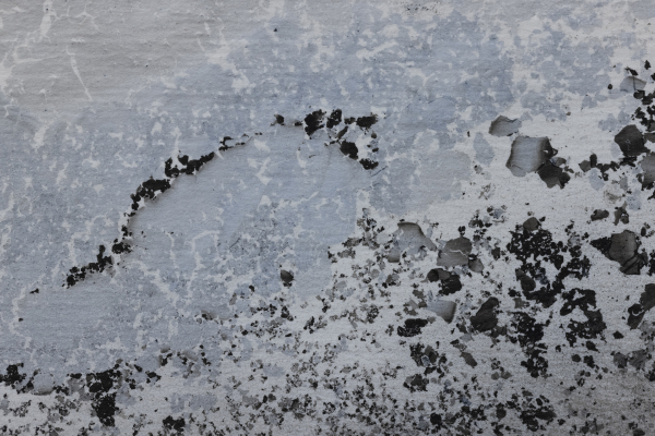 Emilie-Cognard_entendre-la-danse-voir-les-sons_détail_18b