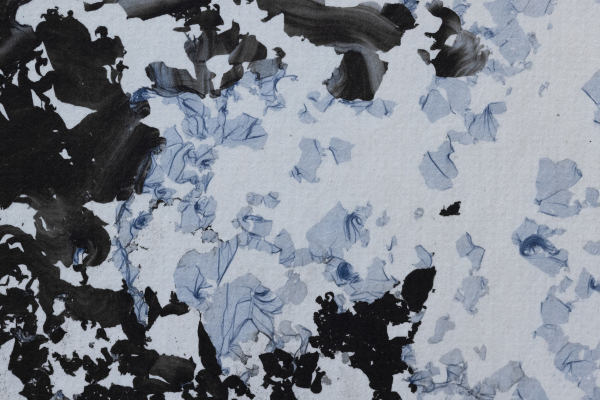 Emilie-Cognard_entendre-la-danse-voir-les-sons_détail_20b