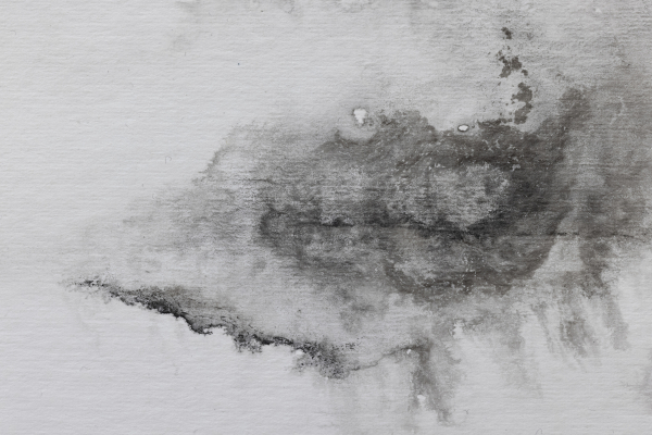 Emilie-Cognard_Spurren-Tanz_détail_14a