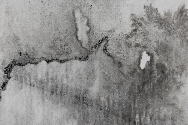 Emilie-Cognard_Spurren-Tanz_détail_16a