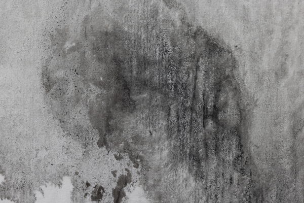 Emilie-Cognard_Spurren-Tanz_détail_17a