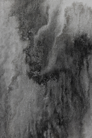 Emilie-Cognard_Spurren-Tanz_détail_17b