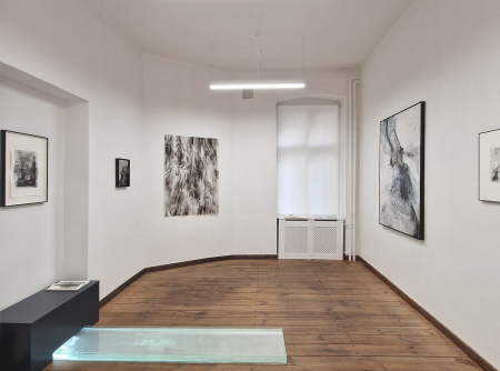 Installation-Kabinett_6