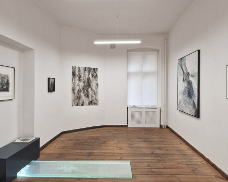 Installation-Kabinett_6